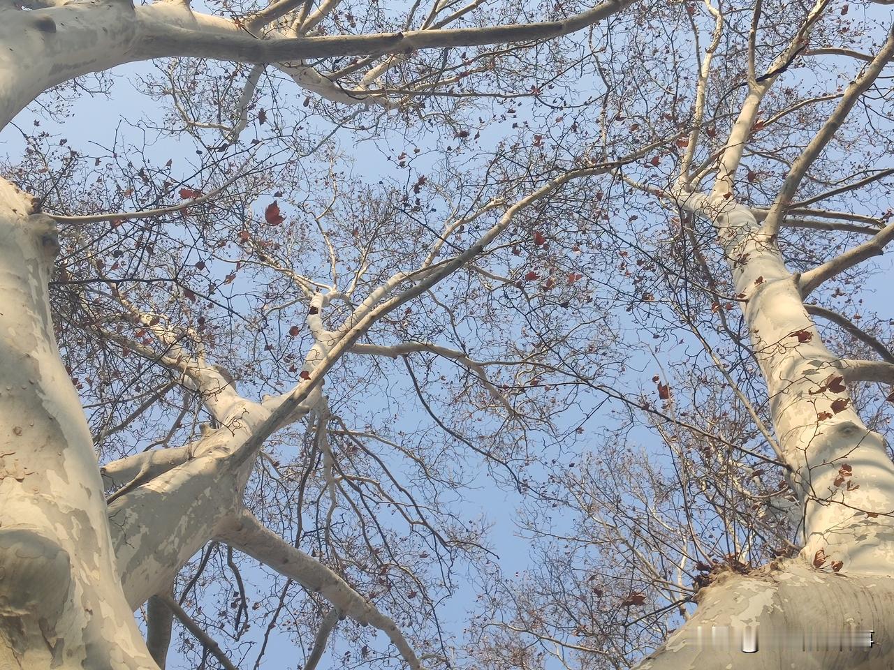 现在的世界，你方唱罢他登场，看似纷纷扰扰，千头万绪，其实理清看明白了，就是两股势