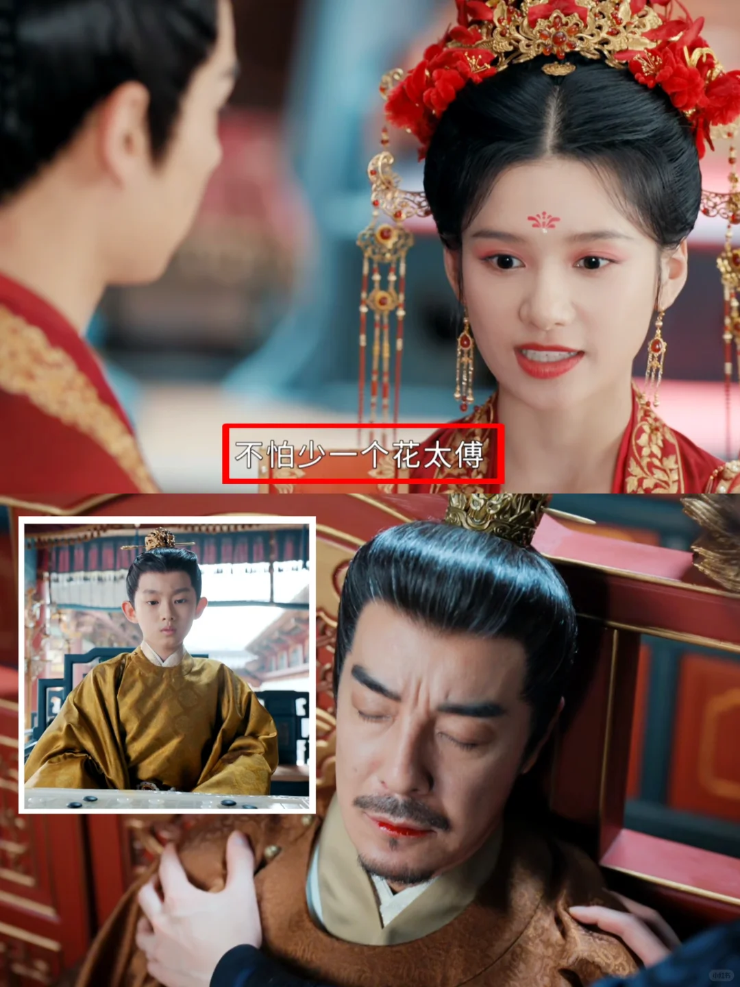 结局没烂尾 官家被毒杀 花芷拒绝做官🫢