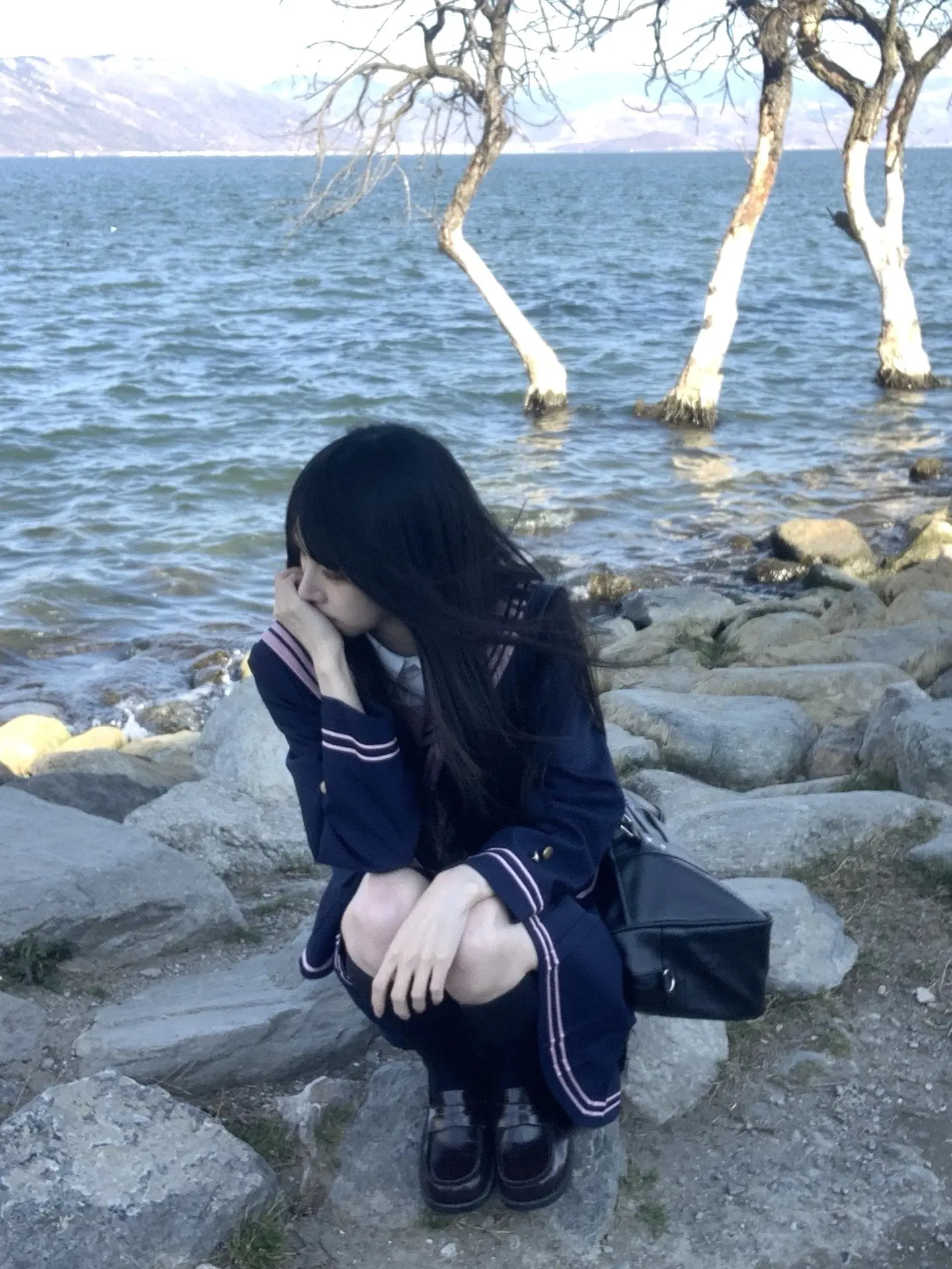 我在阳光下往返于春天