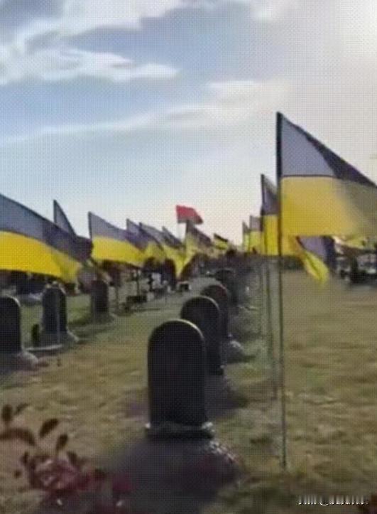 只要钱到位，命也能卖？当俄军在红军城打扫战场时，发现阵亡的乌军中有着大量的外国人