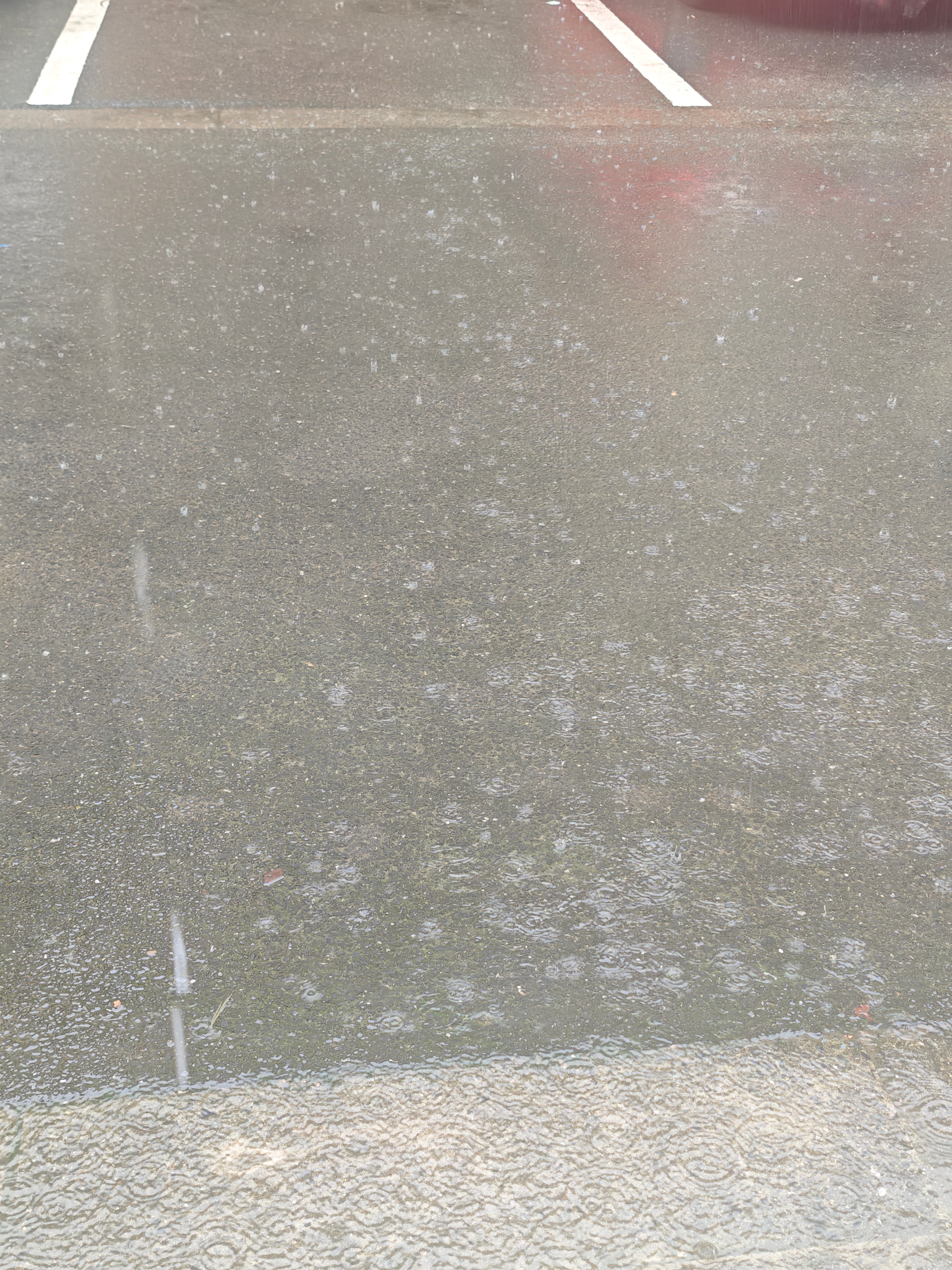 每到这种天气☔️上班 我就觉得自己好命苦