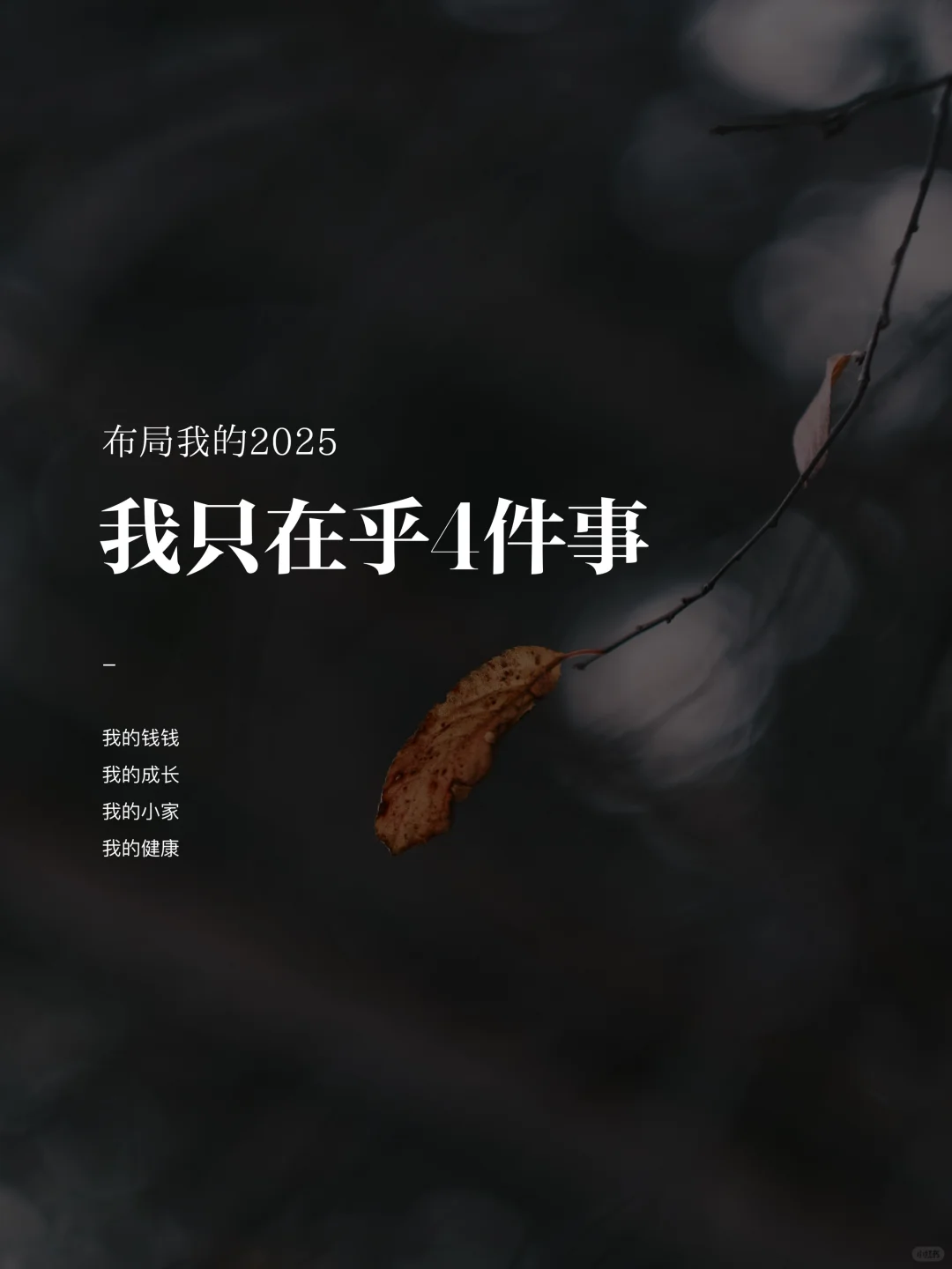 2025，我只在乎这4件事。