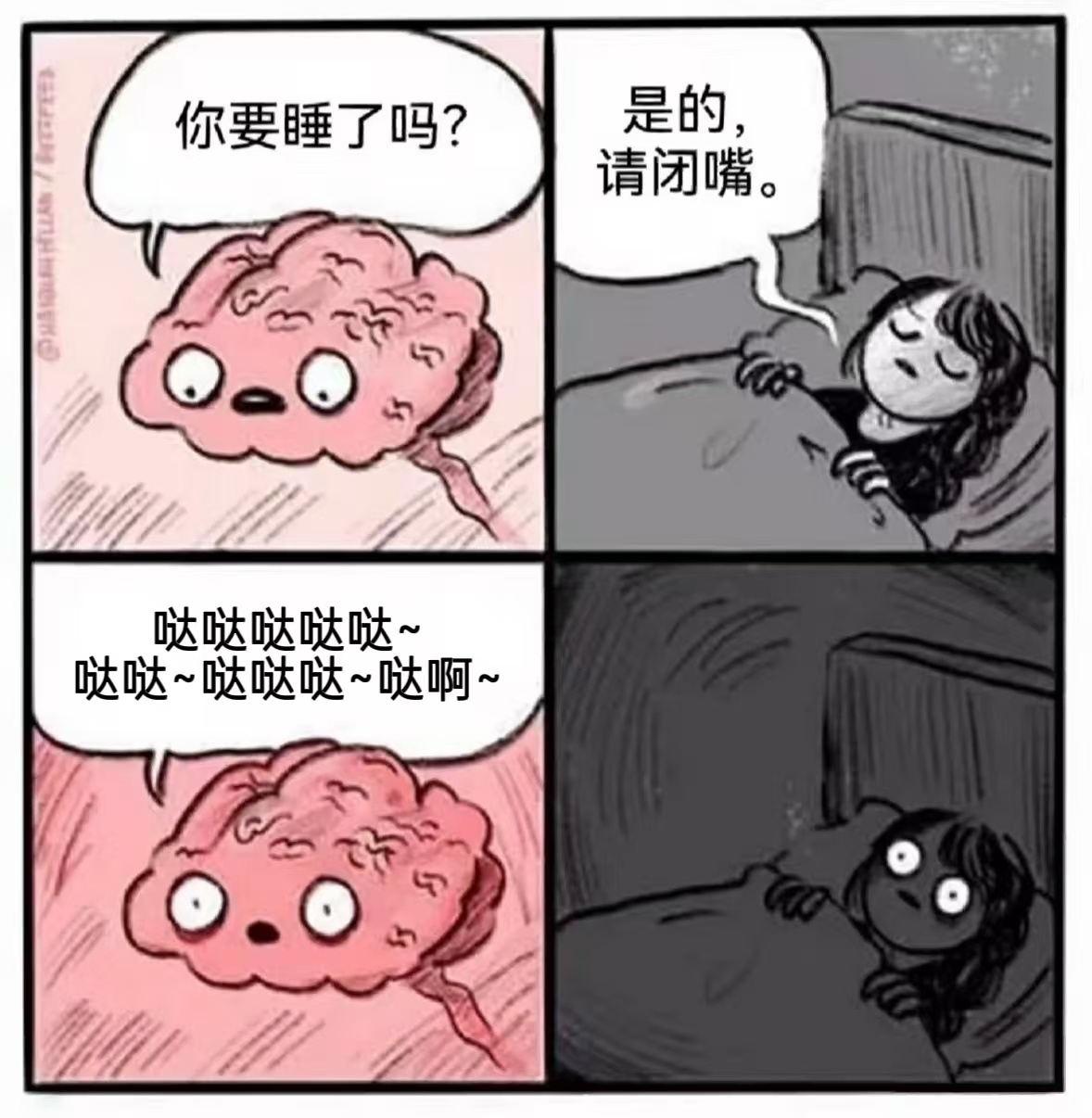 又有新的脑子了