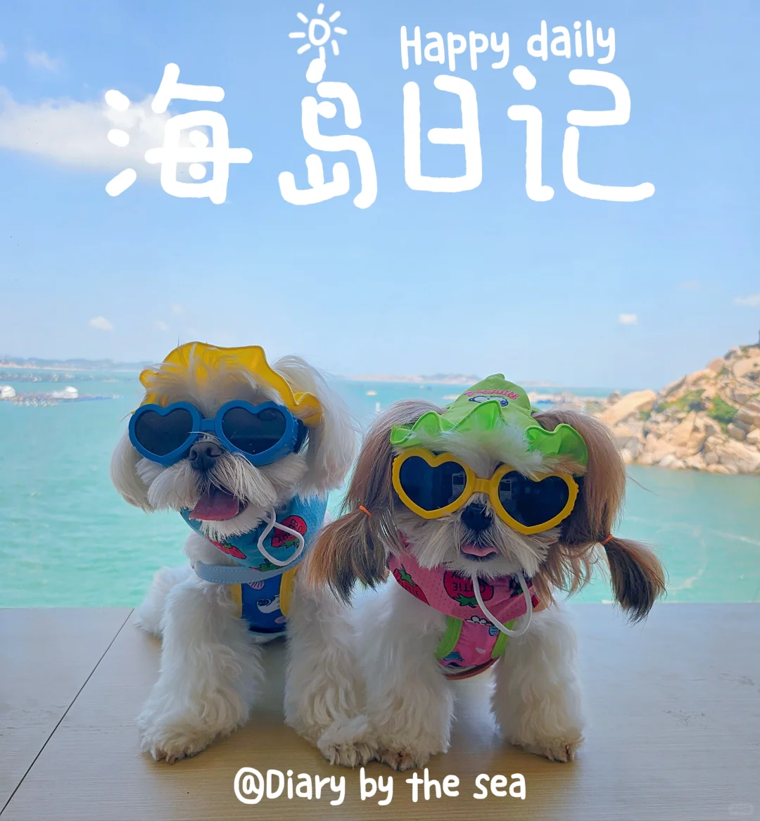🏝️海岛风の小狗