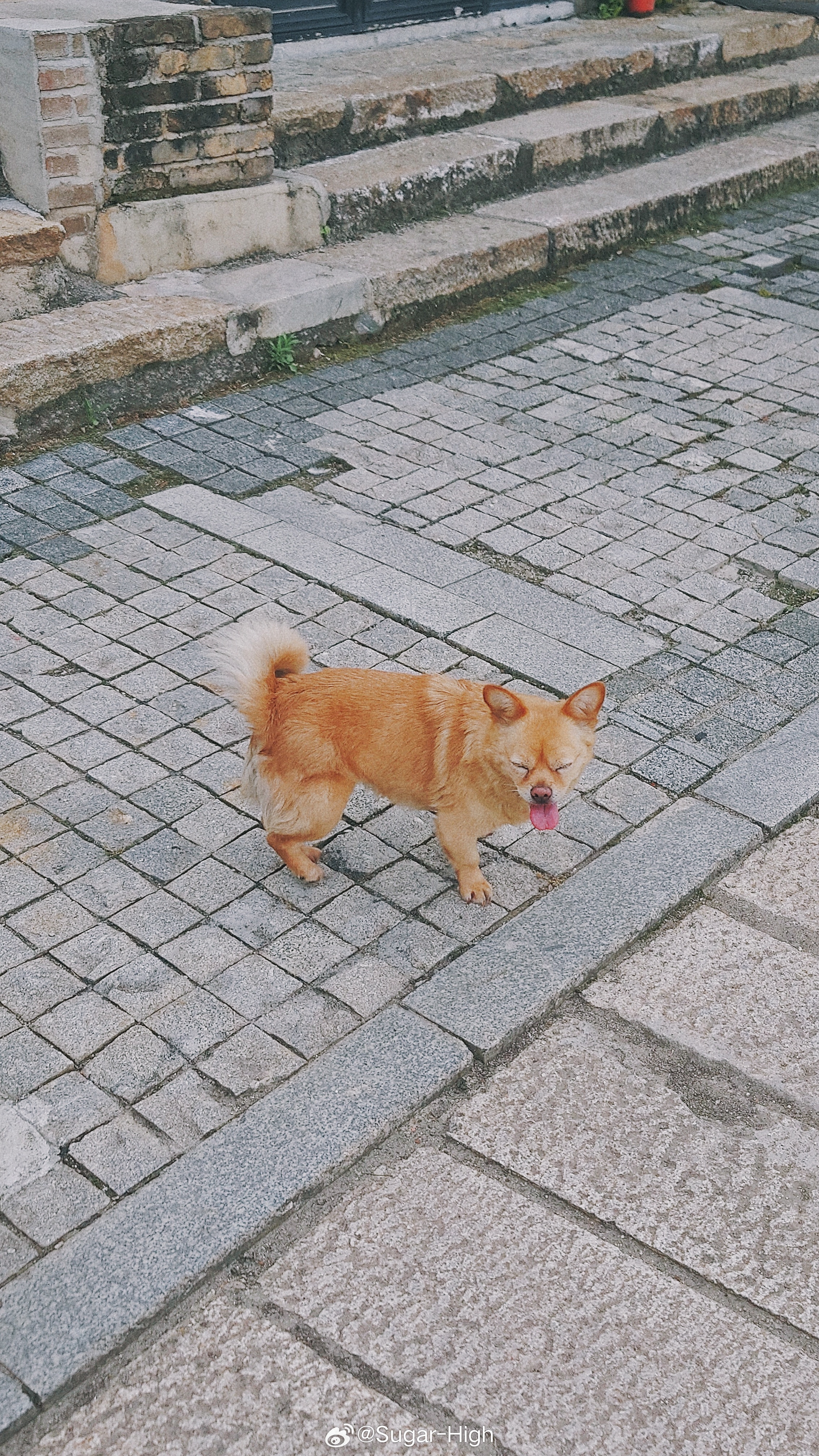 略略略 