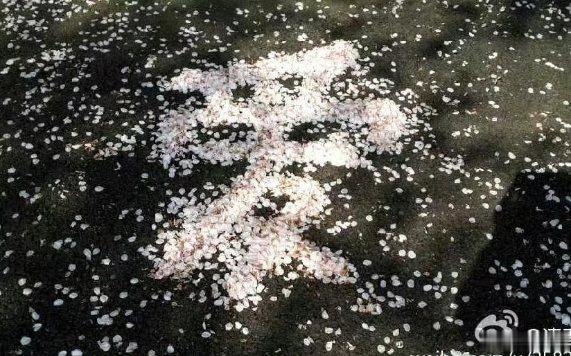 早安早安心语早安,新的一天  早安心语超话  治愈不开心人生感悟人生微语每天说早