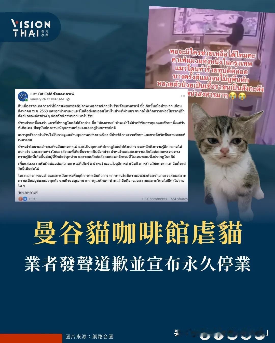 【曼谷猫咖啡馆虐猫 业者发声道歉并宣布永久停业】
曼谷邦堪区(Bang Khen