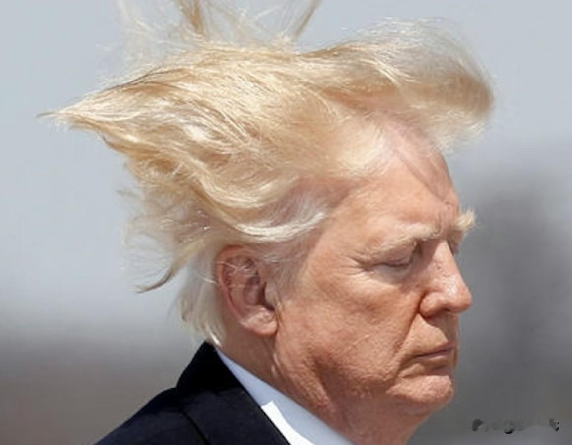 懂王为了一盘醋让韩国人包了一桌饺子，韩国成功变成“最华丽的背景板”‼️
饺子还没