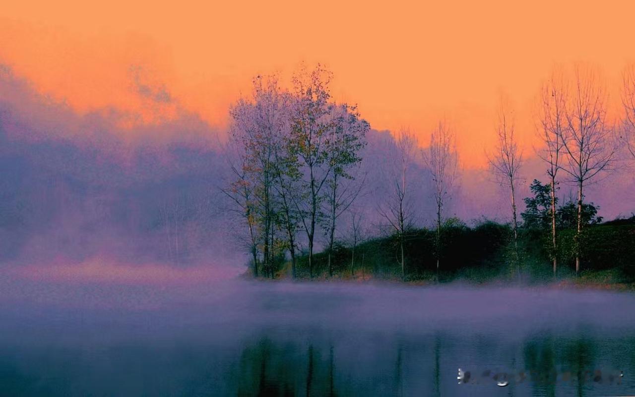 冬日生活打卡季在正确和善良面前，请选择善良。在生活的诸多选择中，善良往往是一个值