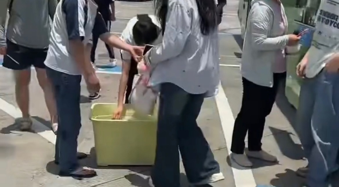 【玉林一地坐大巴车去广东有免费盒饭吃】近日，网友分享：玉林市一地乘坐的大巴车去广
