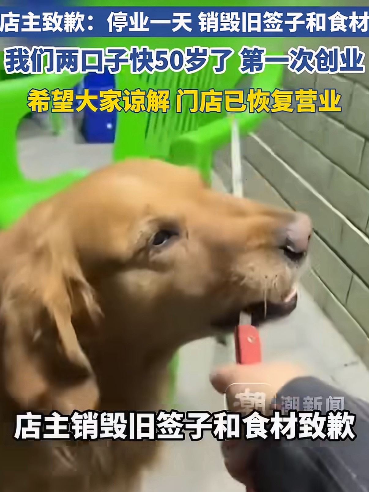 用烧烤签给狗撸串顾客账号已私密真是生活条件好了，狗都撸上串了。但是狗不懂事，主人