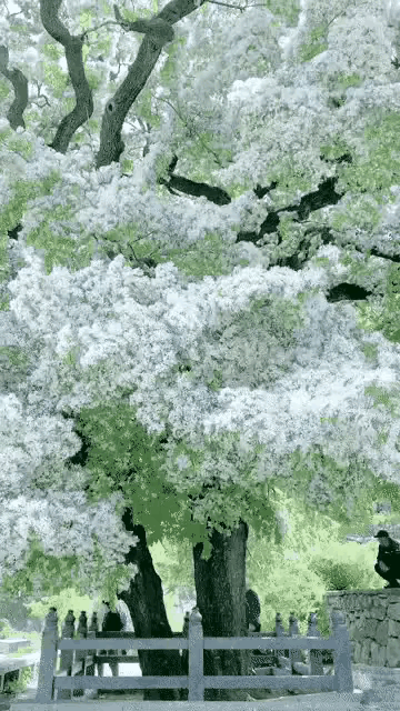 国家借我小钱钱，俺敢扶[捂脸]