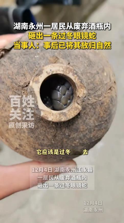 离了个大谱！12月4日，湖南永州，一男子在田埂边捡了个废弃酒瓶，本打算带回家卖废