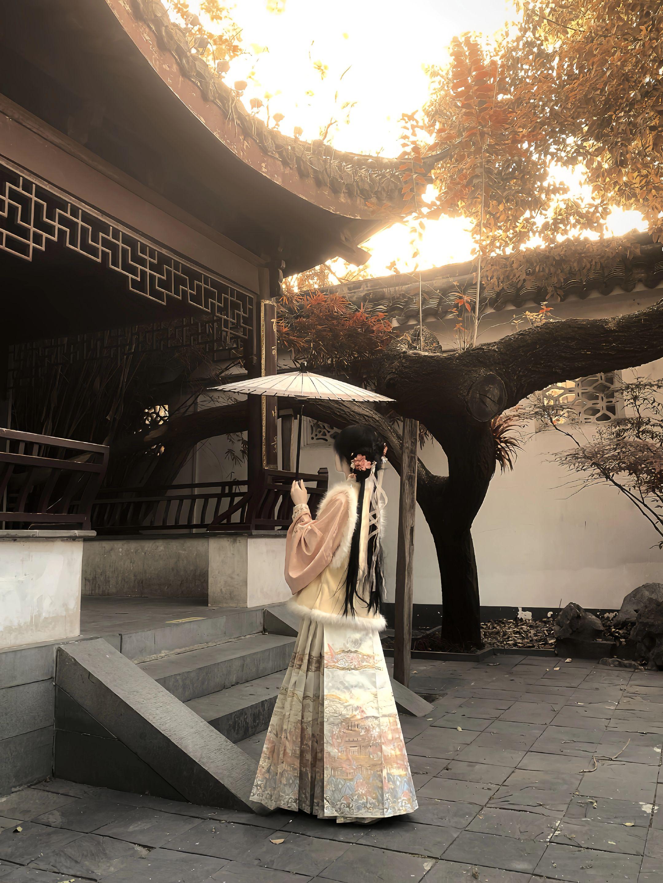 “曾借轩窗明月光”