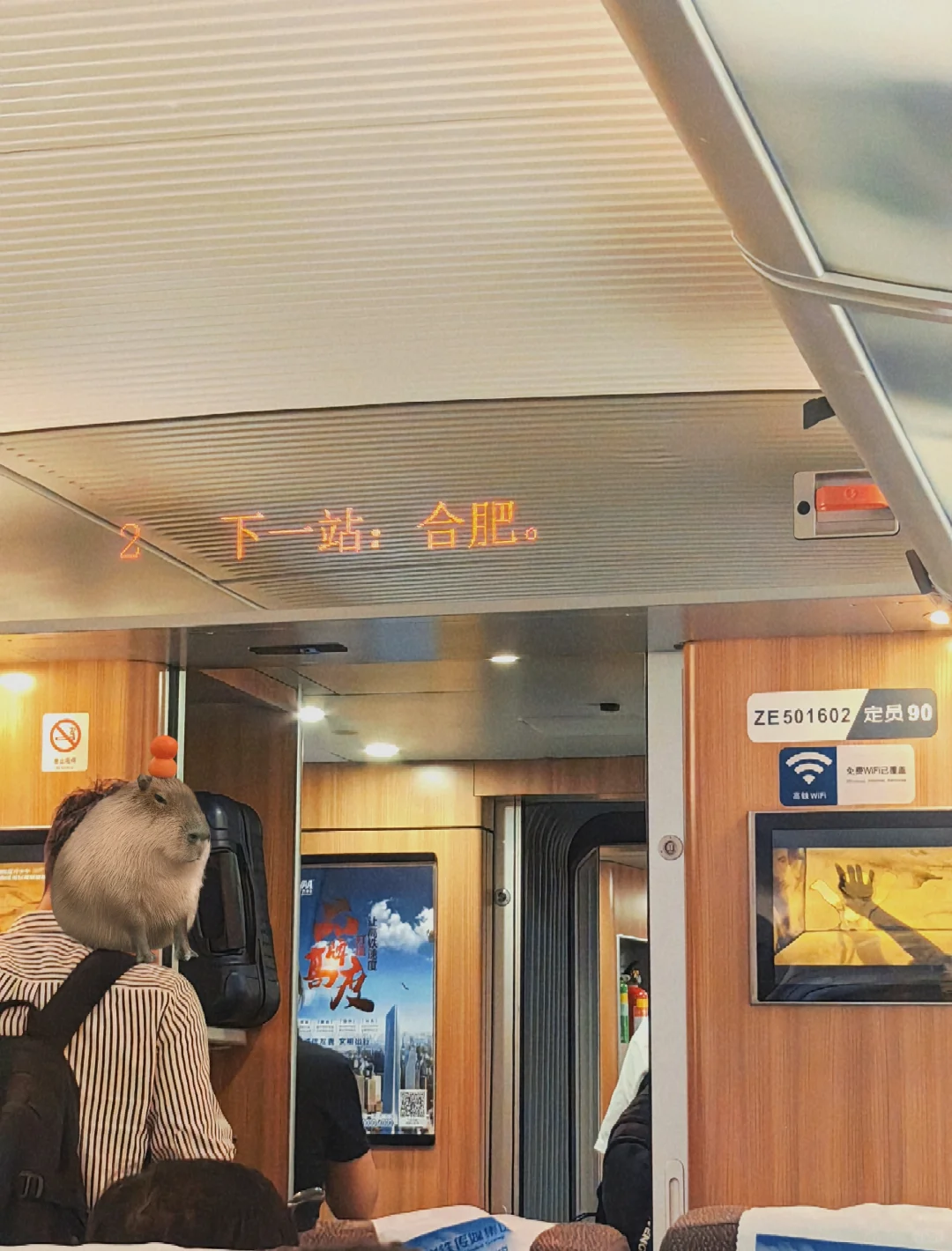 刚到合肥！！！没做攻略差点被劝退😭