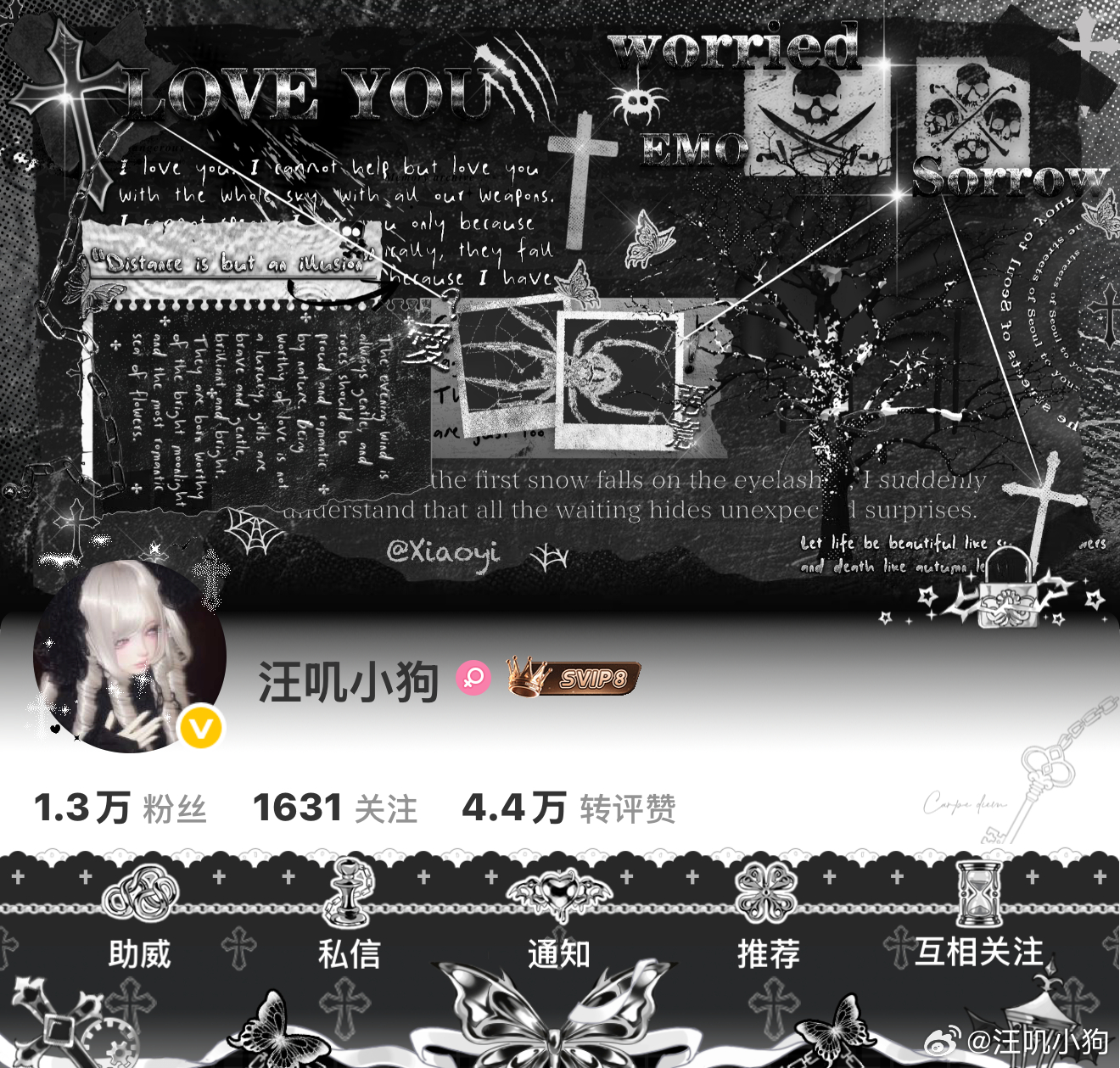小狗的OOTD⁰̷̴͈ᴥ⁰̷̴͈