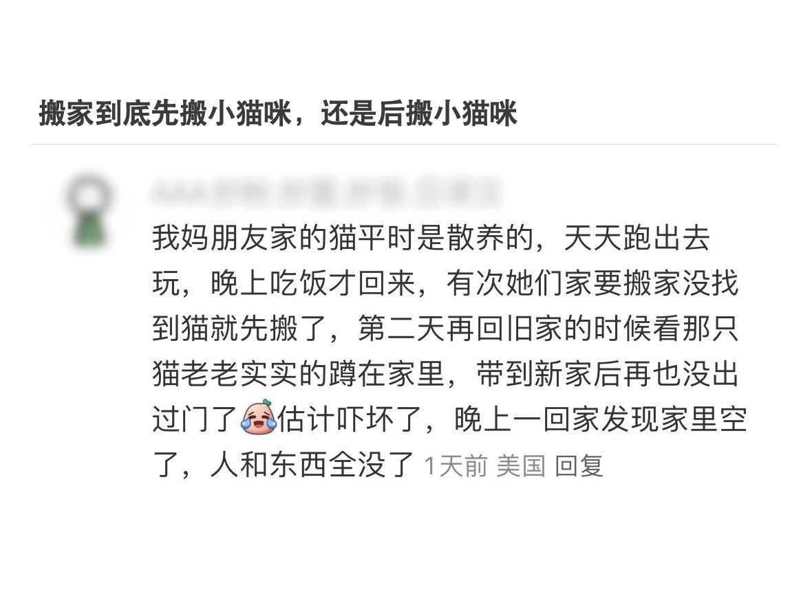 小可怜：这个家也太动荡了，还是谨慎点宅家里当全职猫咪，过安稳日子吧 