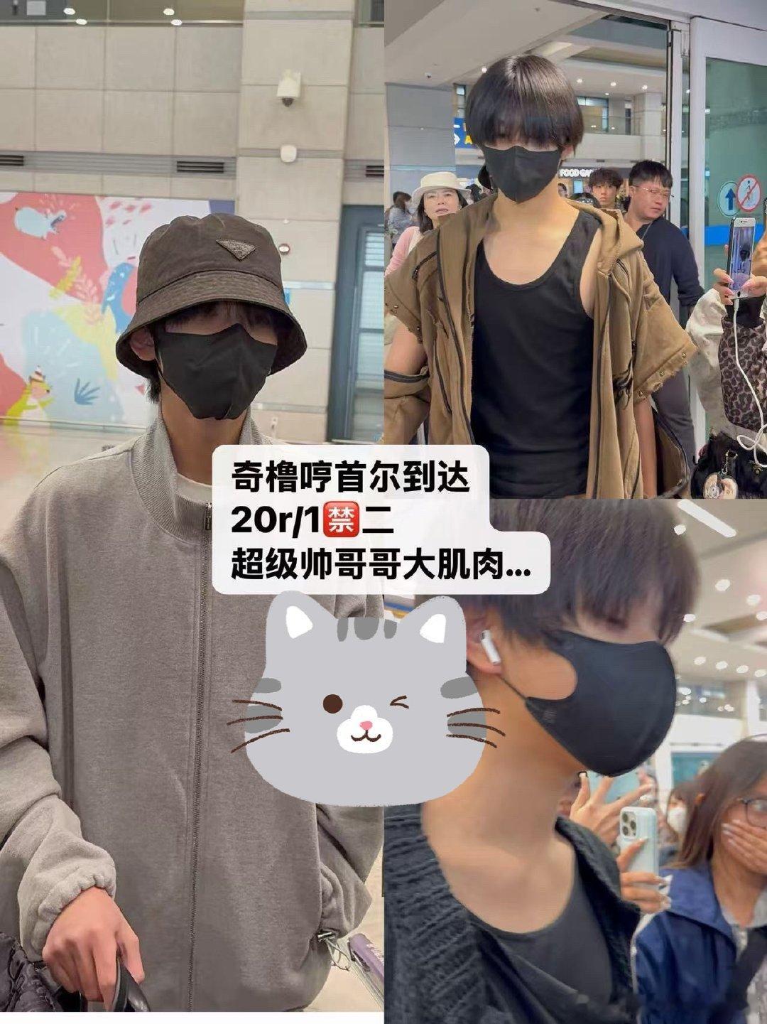 tg 路人看到会不会以为又在抓猪？