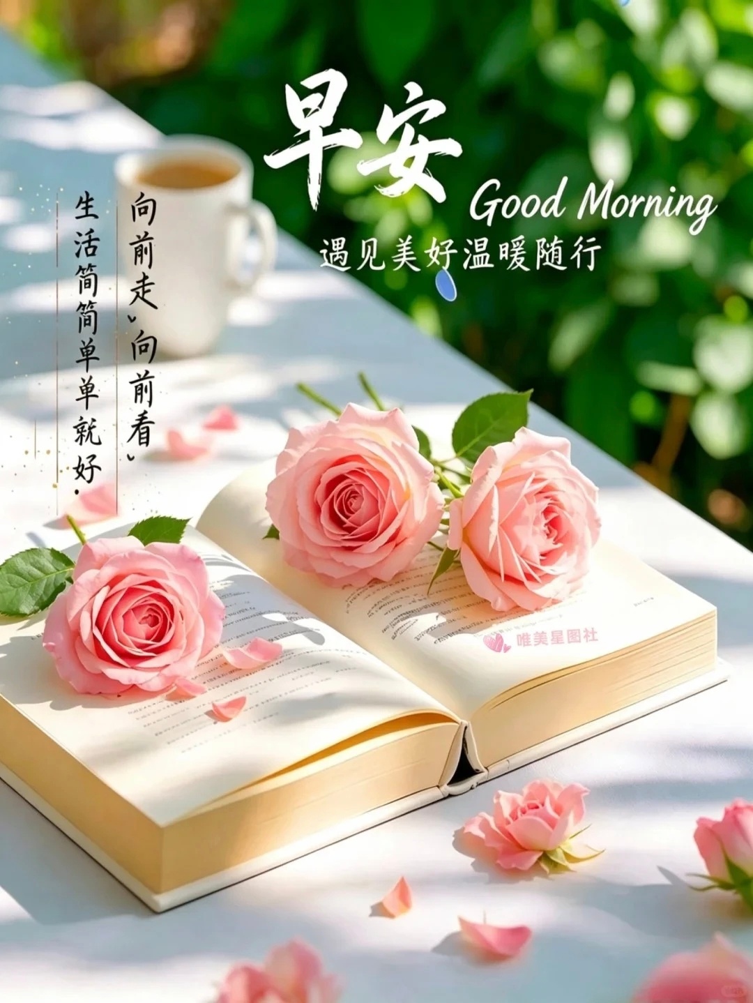 🍒𝙈𝙤𝙧𝙣𝙞𝙣𝙜🌞 每一个崭新的今天，都是生活给予我们的郑重馈