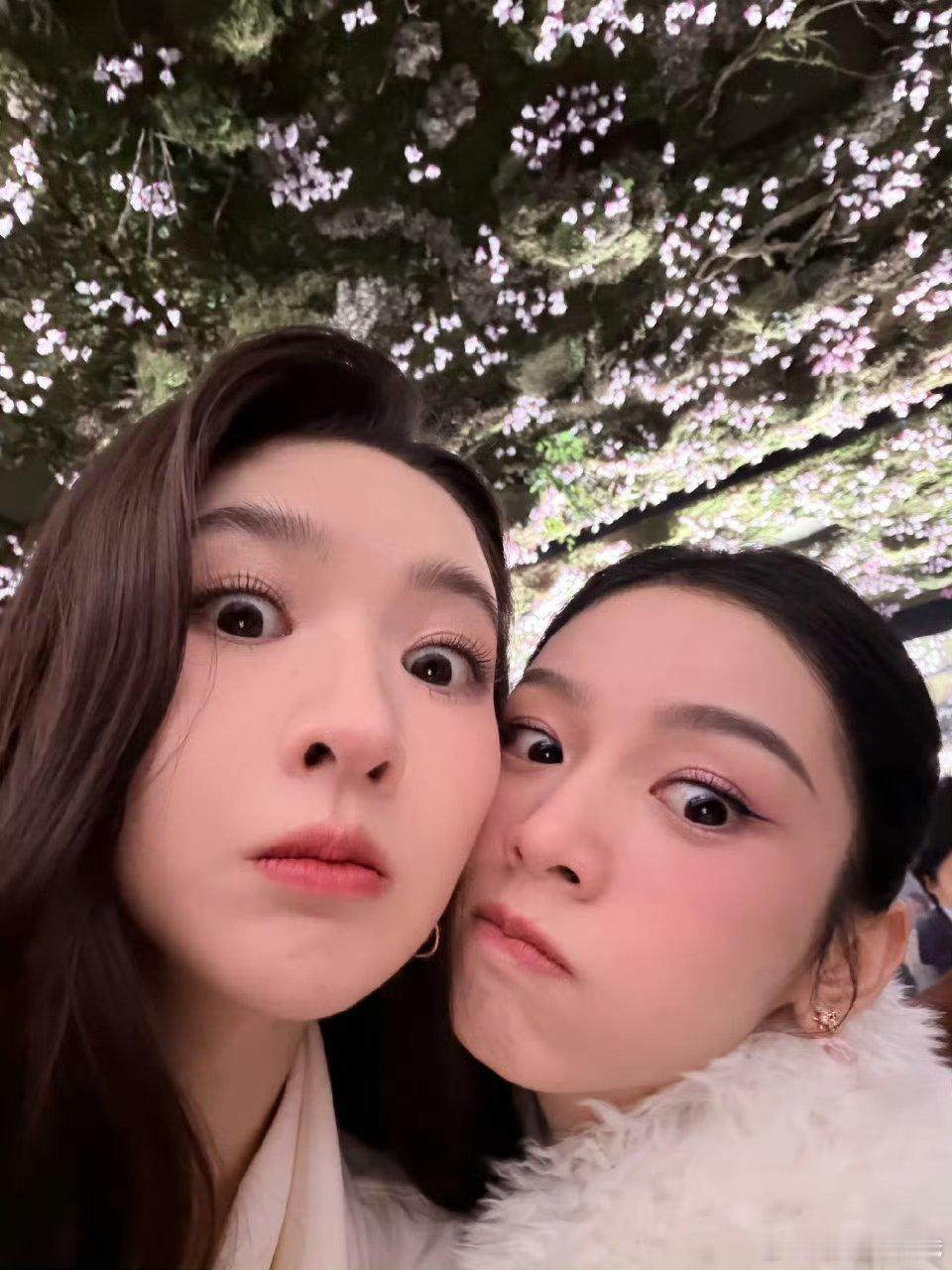 周也王玉雯两个人中有两个人很可爱，多多合照