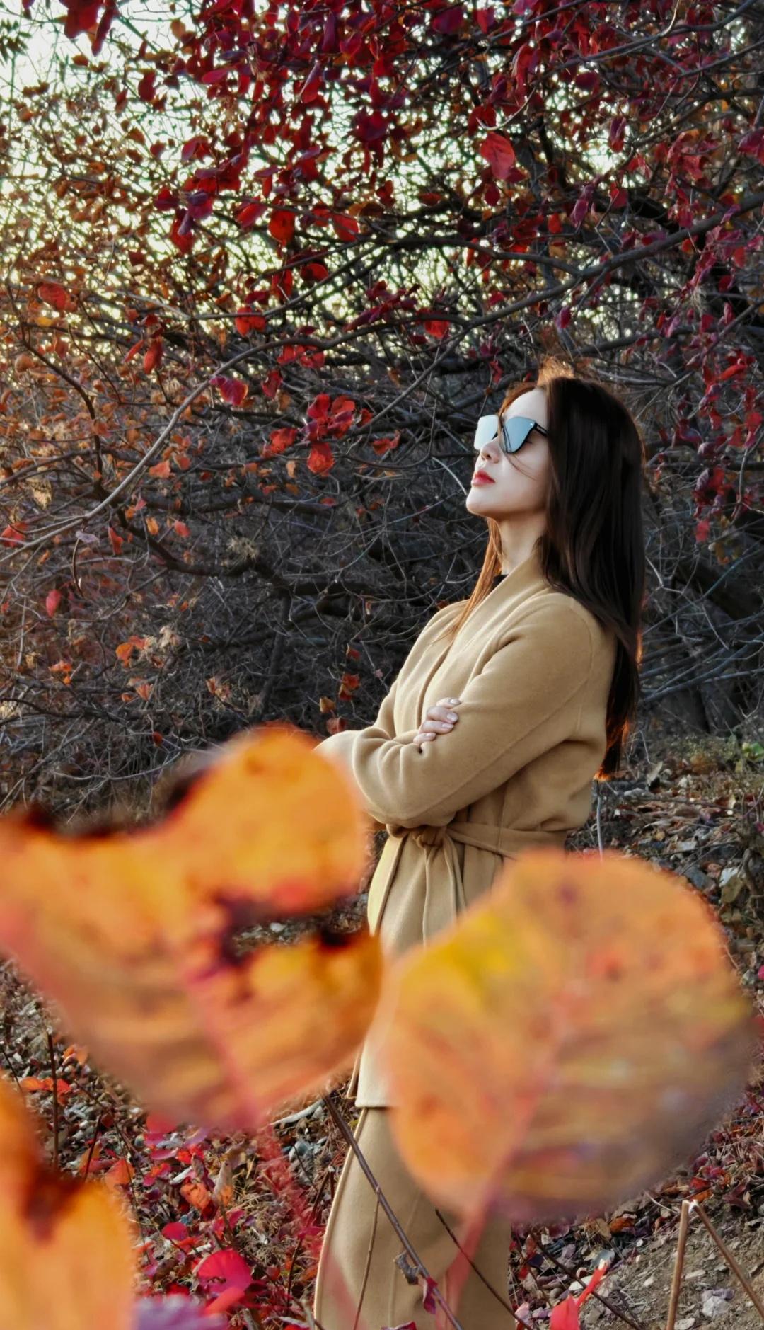 留住秋天的一百种方式之蓟县红花峪
秋天+红叶+落日
留住秋天的最好方式那是美照