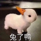 胖呆谈谈科技