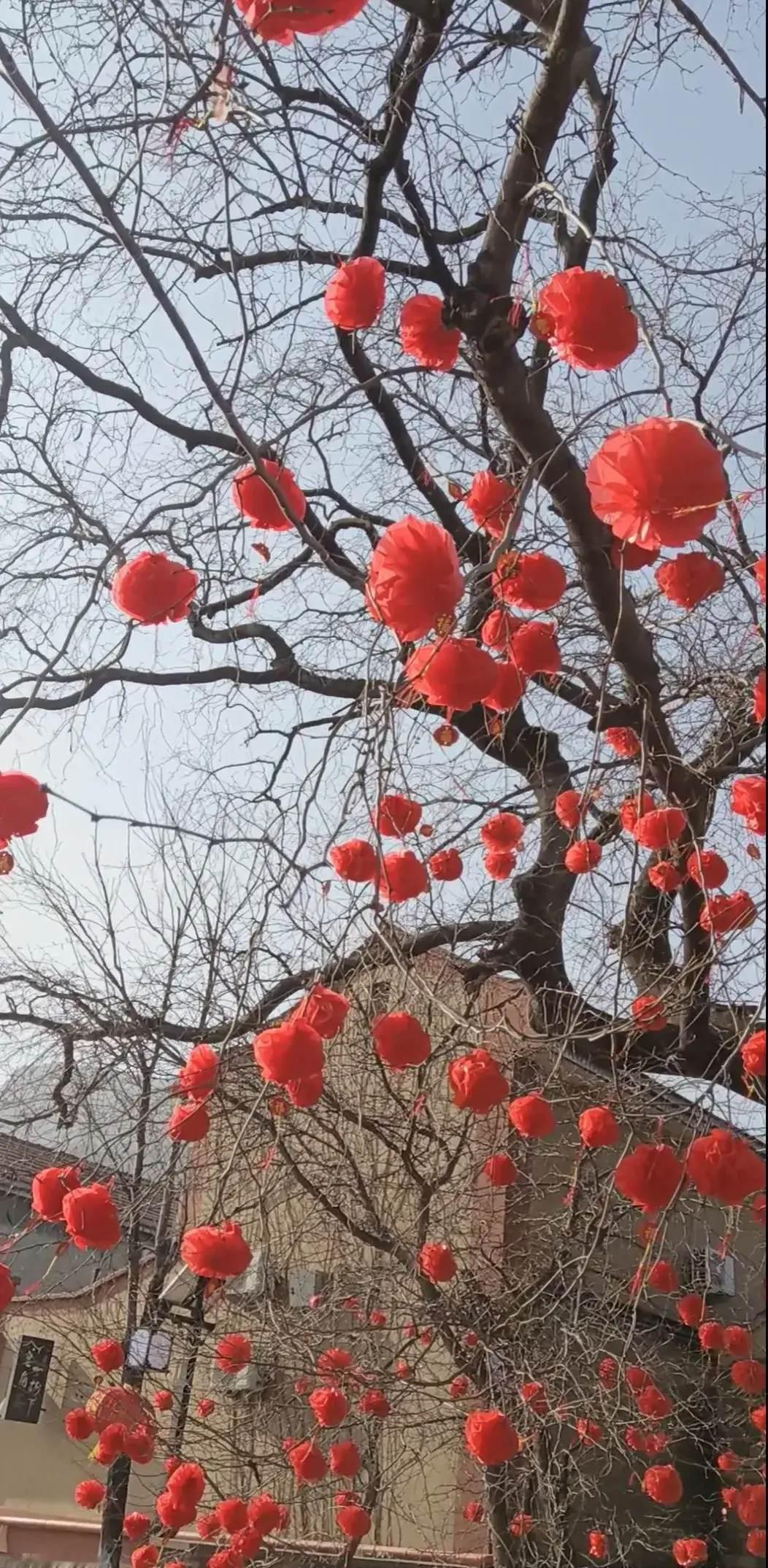 以欢喜心想欢喜事 冬日生活打卡季