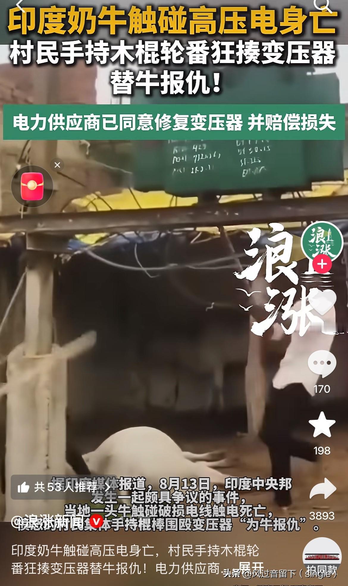 很神奇的国家就有很神奇的人！
近日，印度一头奶牛碰上了高压电，直接被电死了，村民