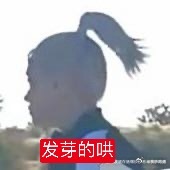 今天没把头像换成金智秀的厕所们 以后不会给你们一点好脸色 