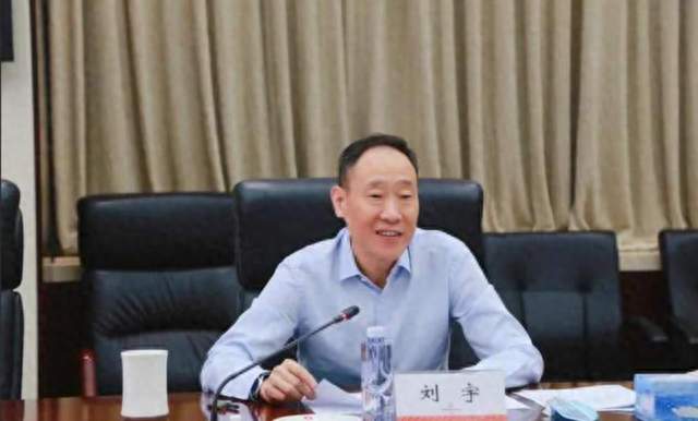从鲁能“掌门人”到被直接双开，刘宇这条路走得让人唏嘘！