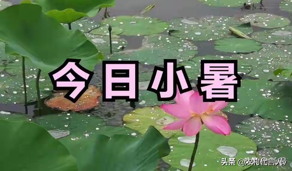 今日小暑，别忘了“吃三样”“喝三样”！顺时吃喝，暑气消、精神足
 
小暑一到，天