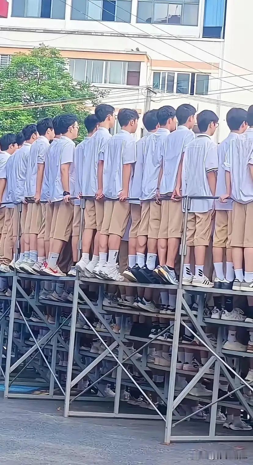 又是一年毕业季
高考、中考马上临近
高三的孩子们已经没有“下一周末”了
而各个学