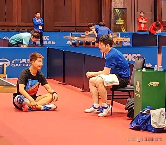 樊振东的好兄弟高杨战胜了陈垣宇
全运会男单1/16决赛
高扬4:1战胜陈垣宇
战