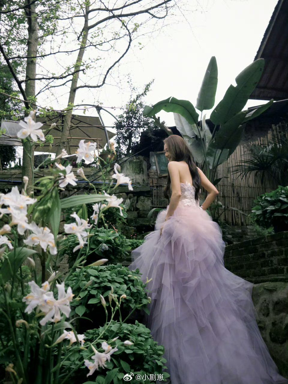 苗苗回应种菜获得大家喜爱苗苗带着羊兔鸡出了一次通告 苗苗带小动物出镜画风太治愈了