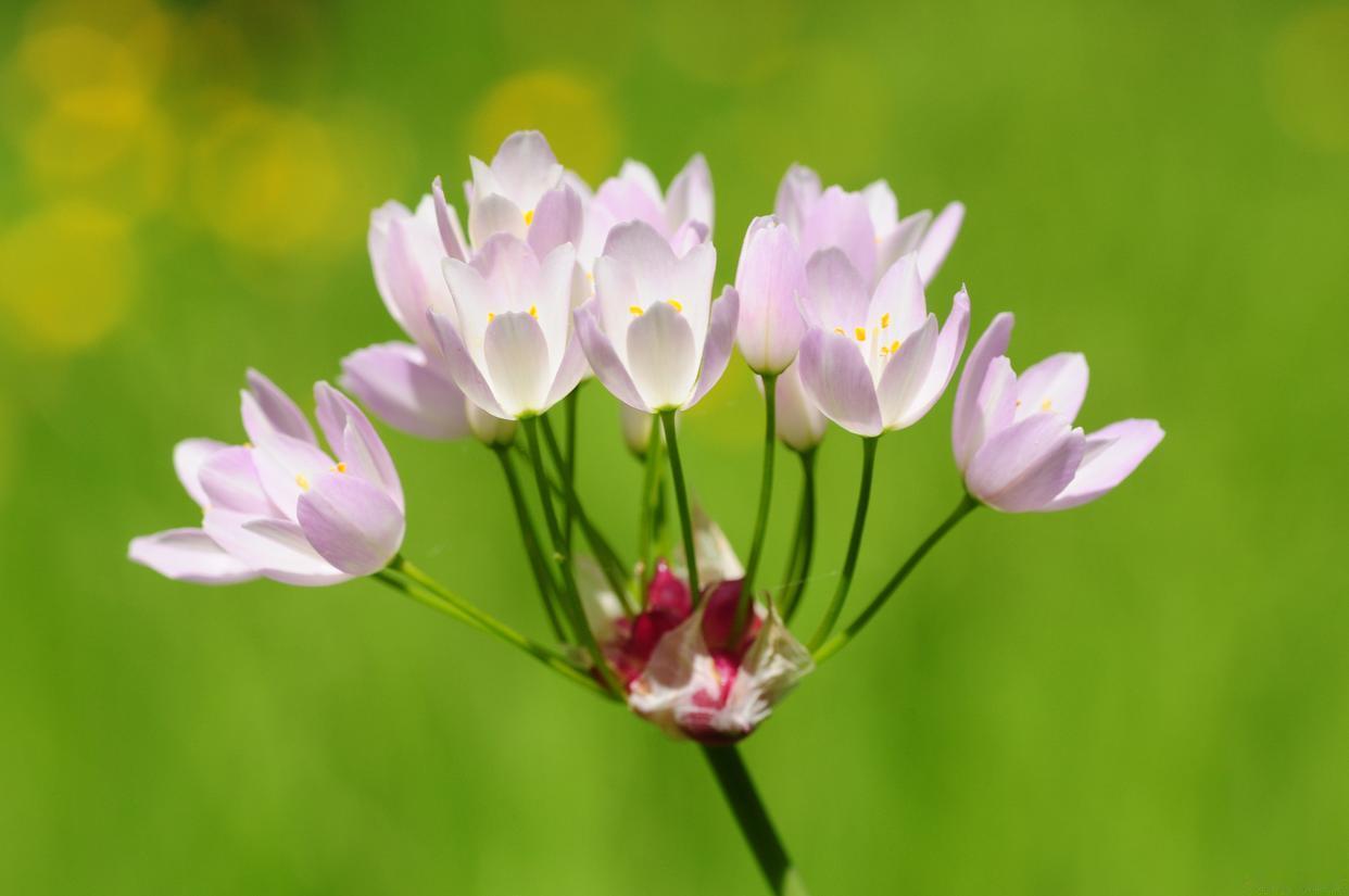 春节年假在家和叔伯们在家聊天。聊到谁能孩子有出息 ，考上了本科，谁家孩子有出息，