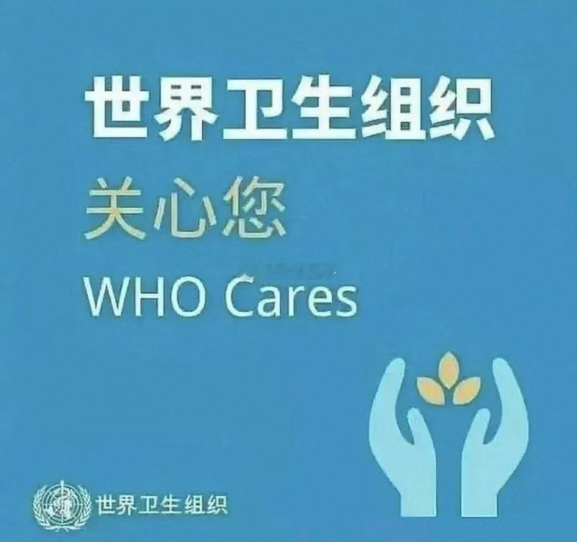 到底是关心还是不关心