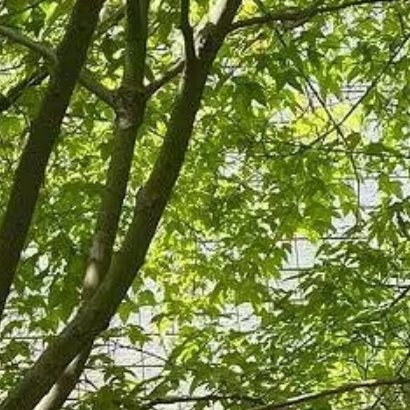 不管从什么时候开始，重要的是开始以后不要停止；不管在什么时候结束，重要的是结束以
