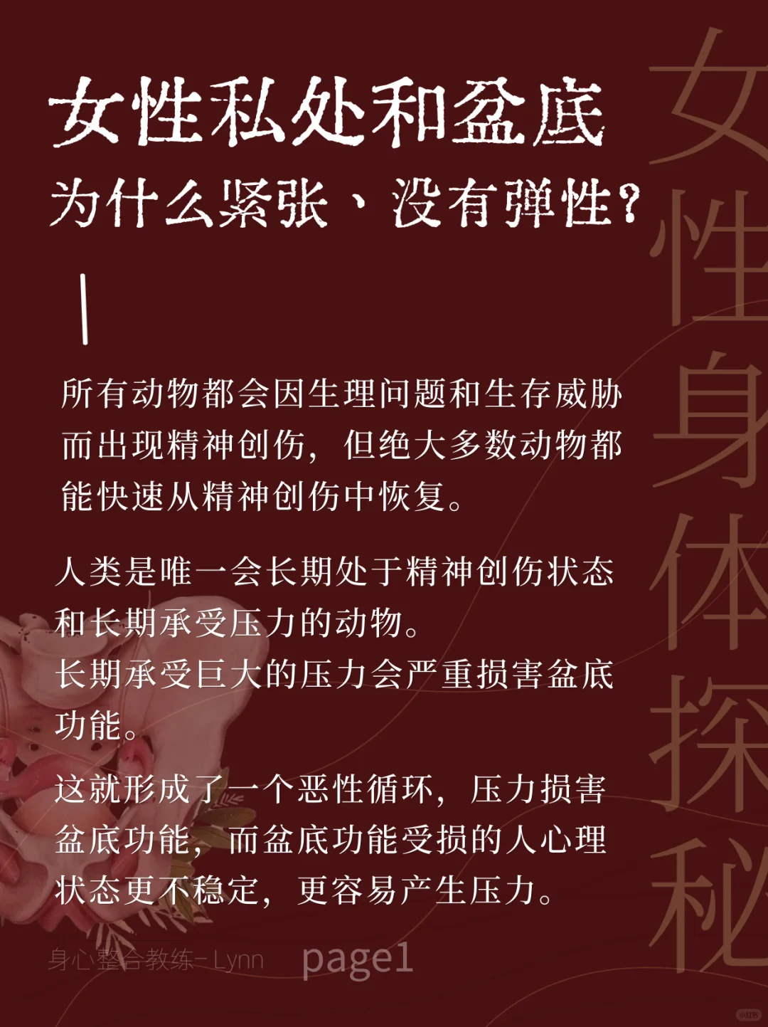 为什么你有盆底问题？