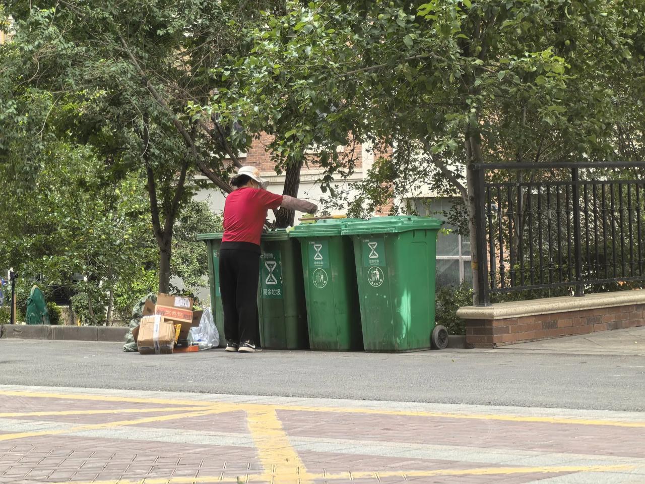 不是我排斥内地人，有些内地人的做法真是让人无法苟同。
      比如说院子里种