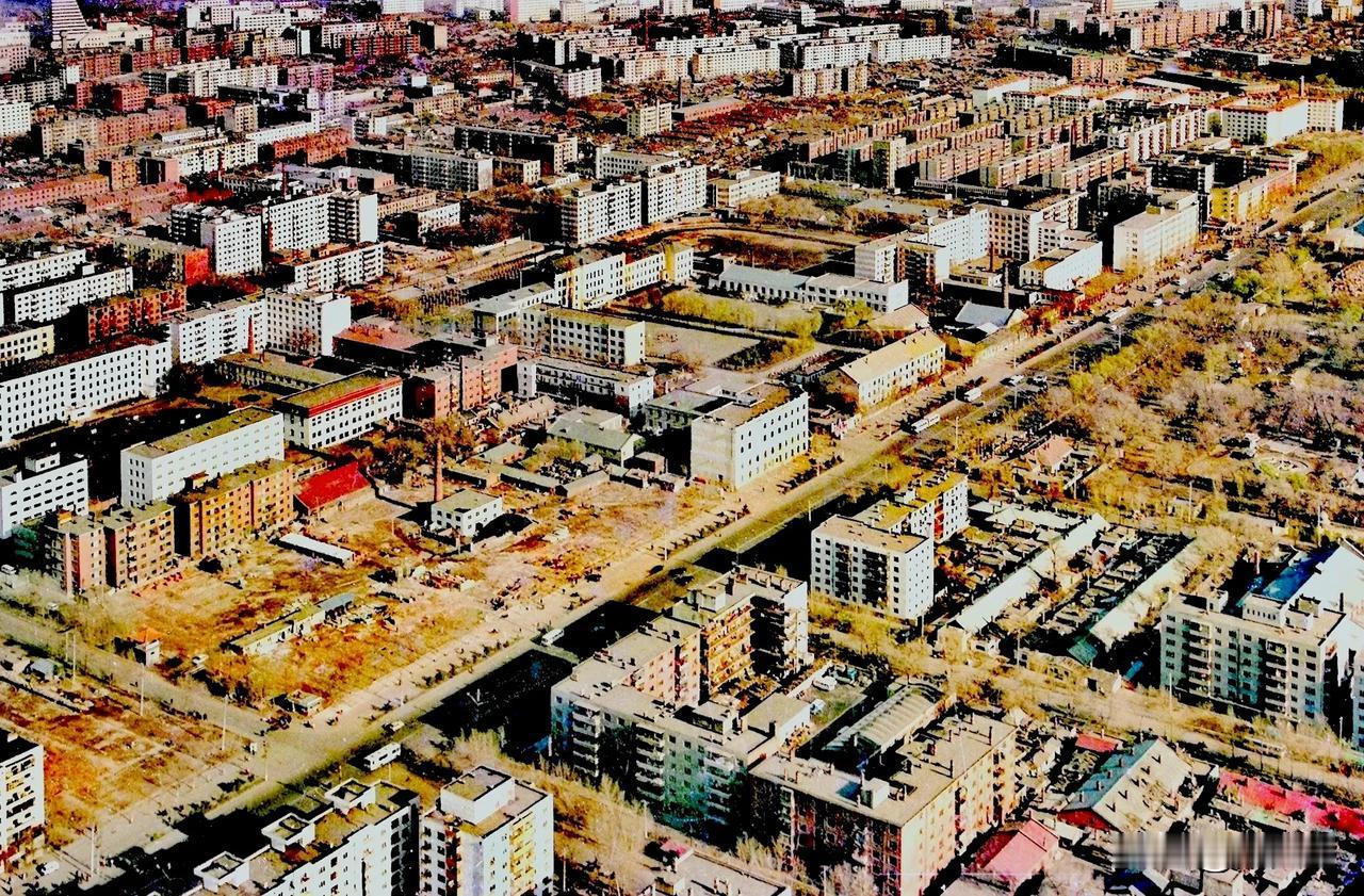 走进香坊区看公滨路