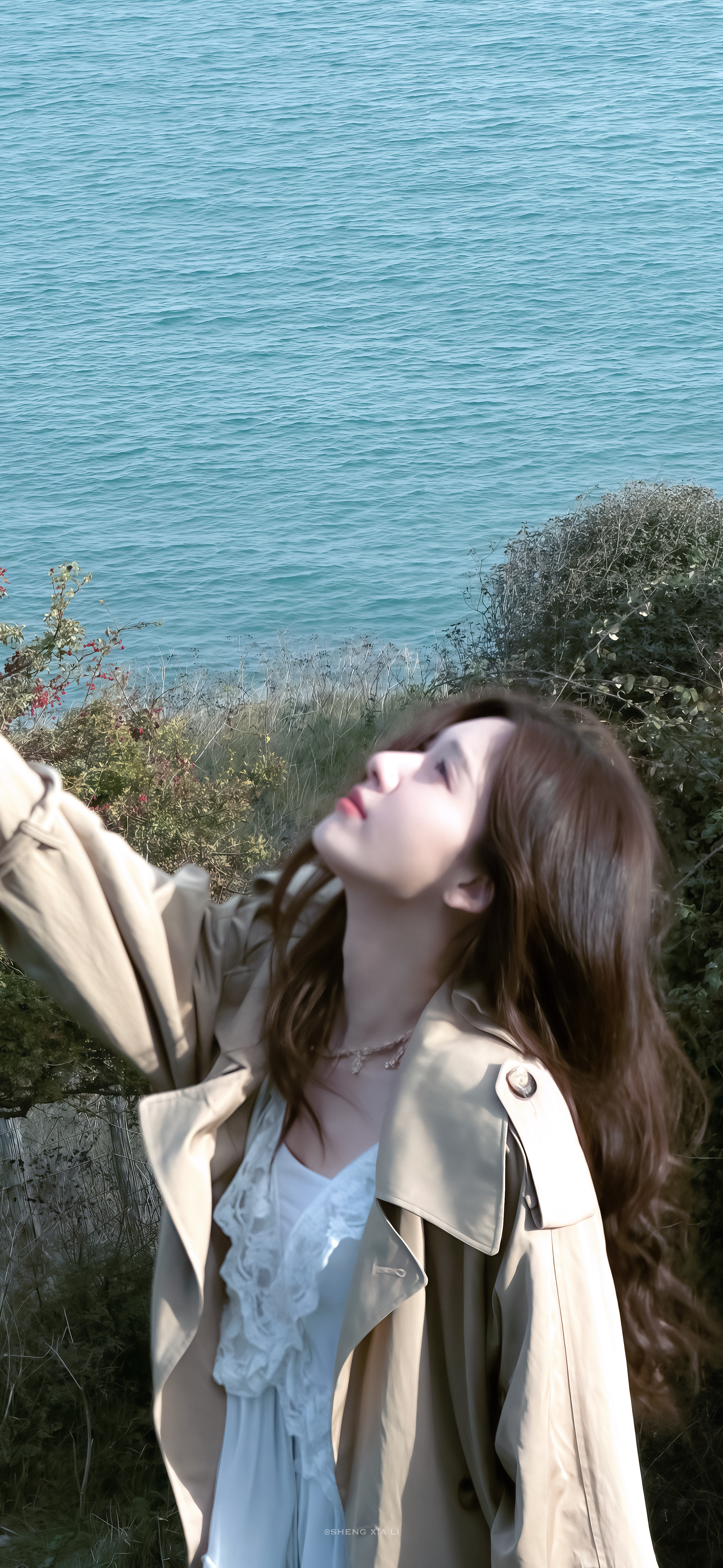 王子璇 在安静的芳草地🍃📝·头像壁纸更新～ ​​​