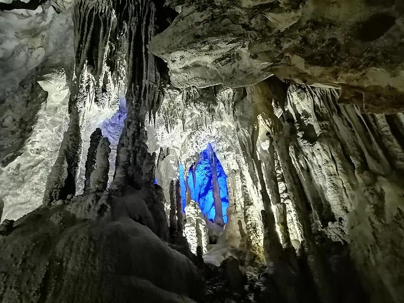 贵州溶洞发现地下反向森林，这简直太神奇了！想象一下，在黑暗的溶洞里，树木不是向上