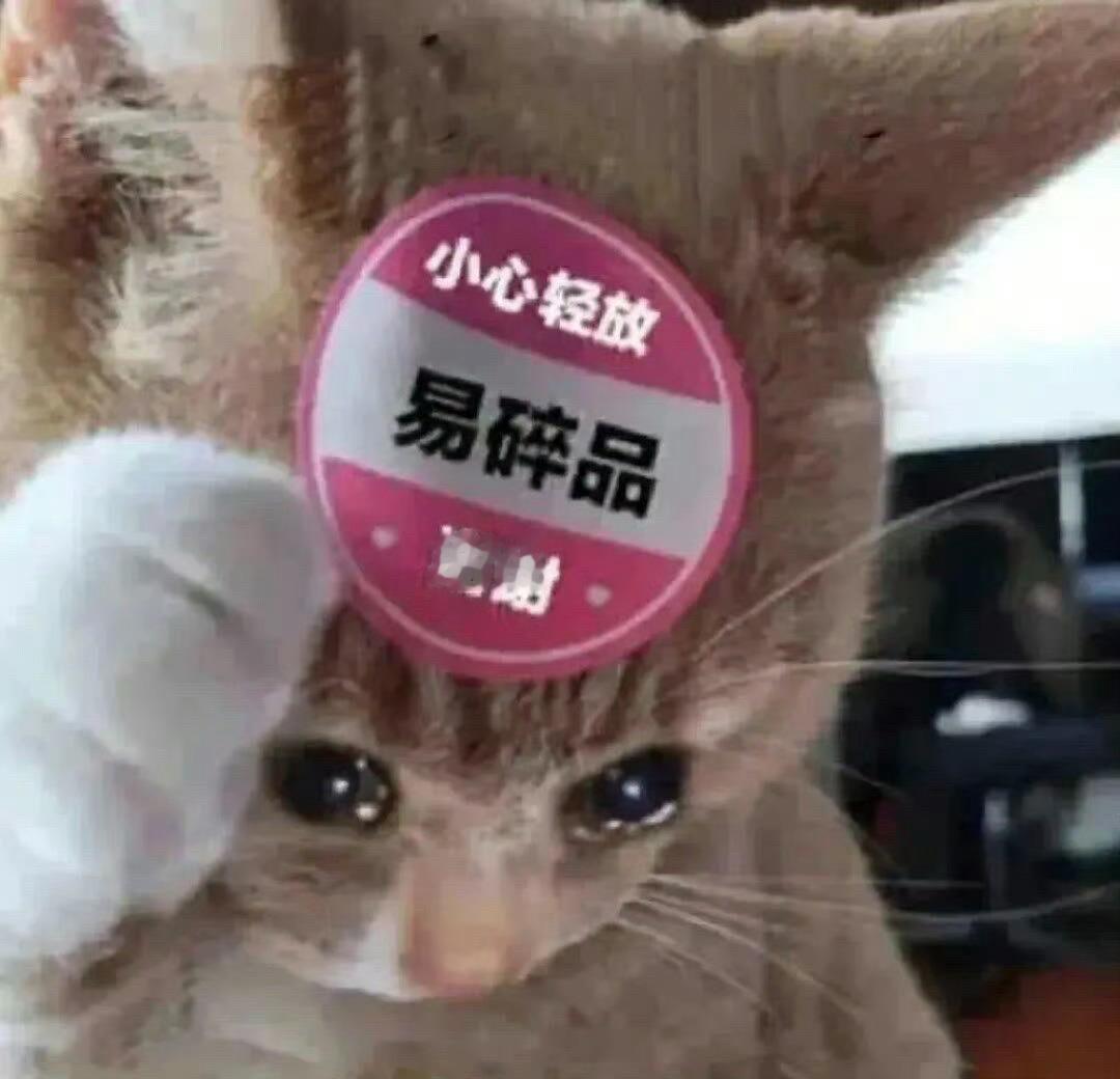 王一博  又一次断签了 