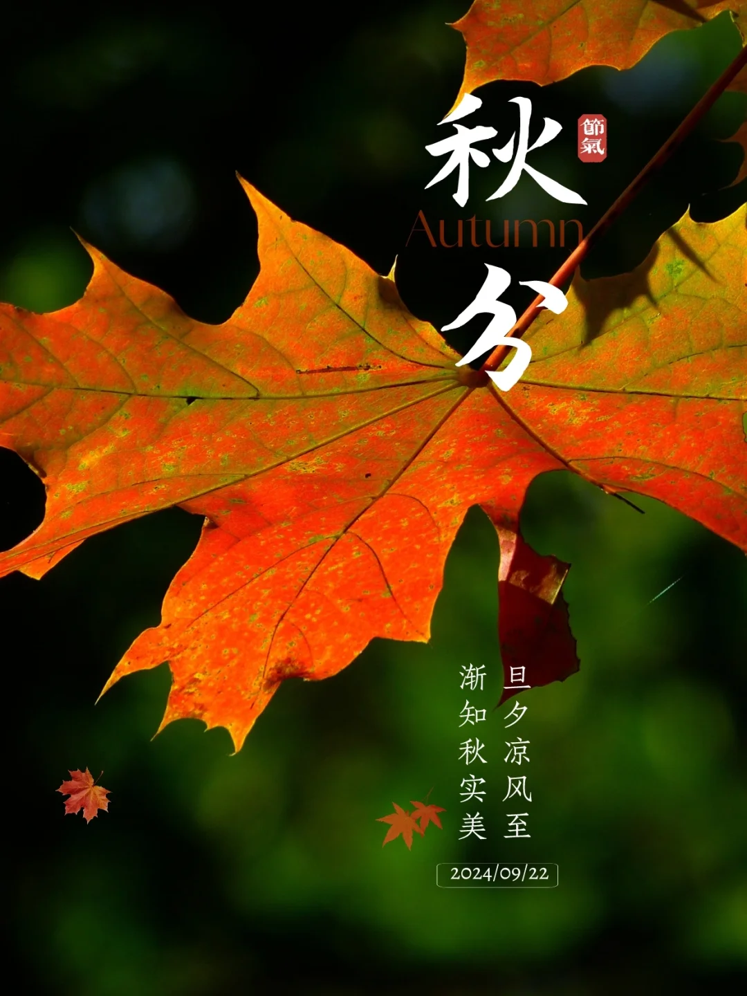 秋分节气｜二十四节气｜节气海报｜秋分文案
