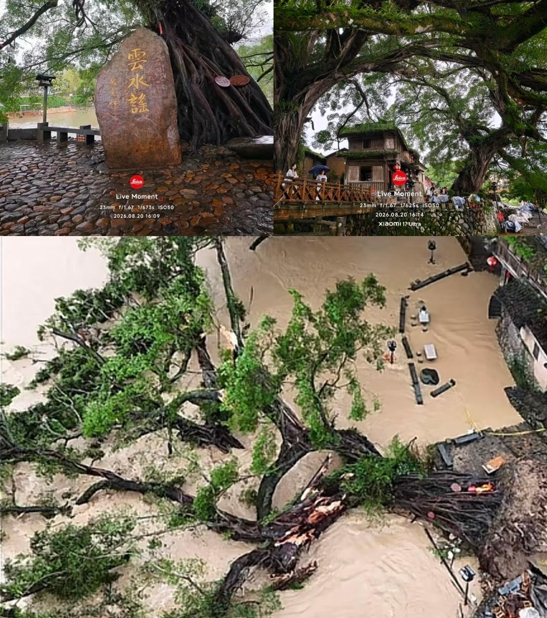 这真的是应了那句“你想去的地方、想见的人，不会一直等你”。我感觉尤其是对于追星族