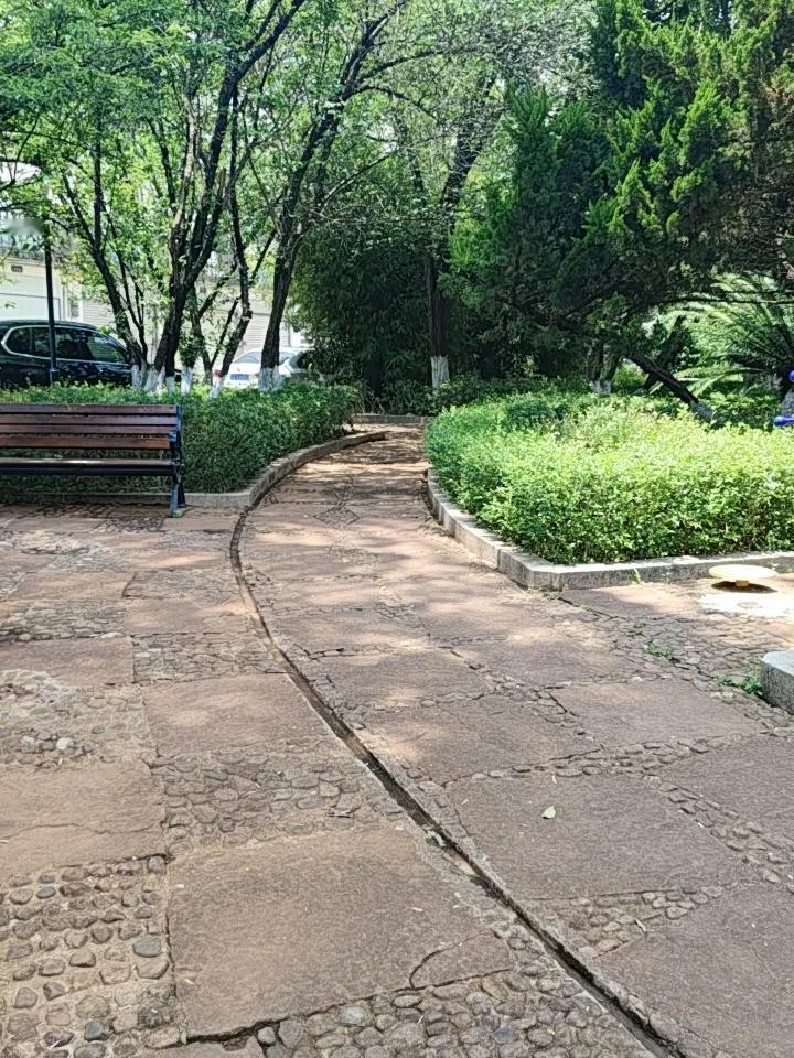 周末去昆明的公园游玩，那体验简直绝了。去翠湖公园，气温宜人，能看到市民在蛇年花灯
