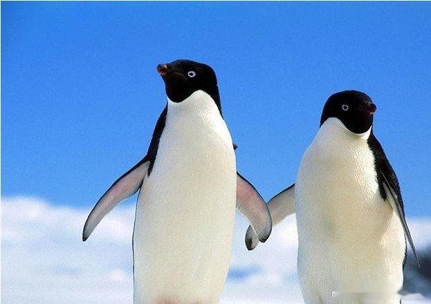 魔鬼湖之谜--俄罗斯的卡克伊奈达卡赫湖，被称为“魔鬼湖”，这里的水是黑色的。在魔