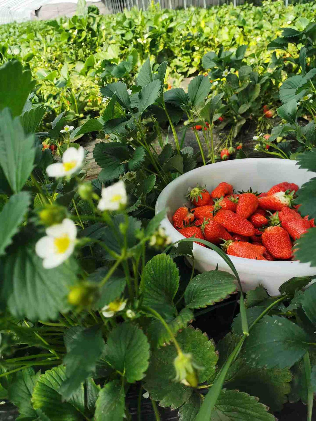 我的今日状态：😁轻松愉快
我这里的天气：☀️晴天