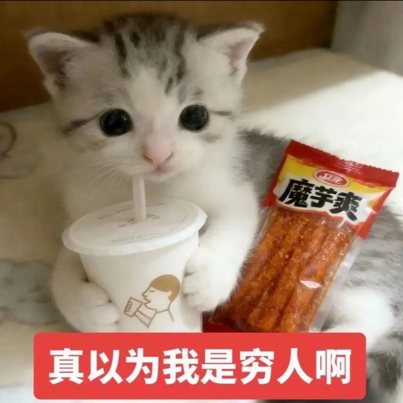 中国自己养的三文鱼上岸了，之前就刷到过新疆有三文鱼，这下黄海也有三文鱼了？我现在