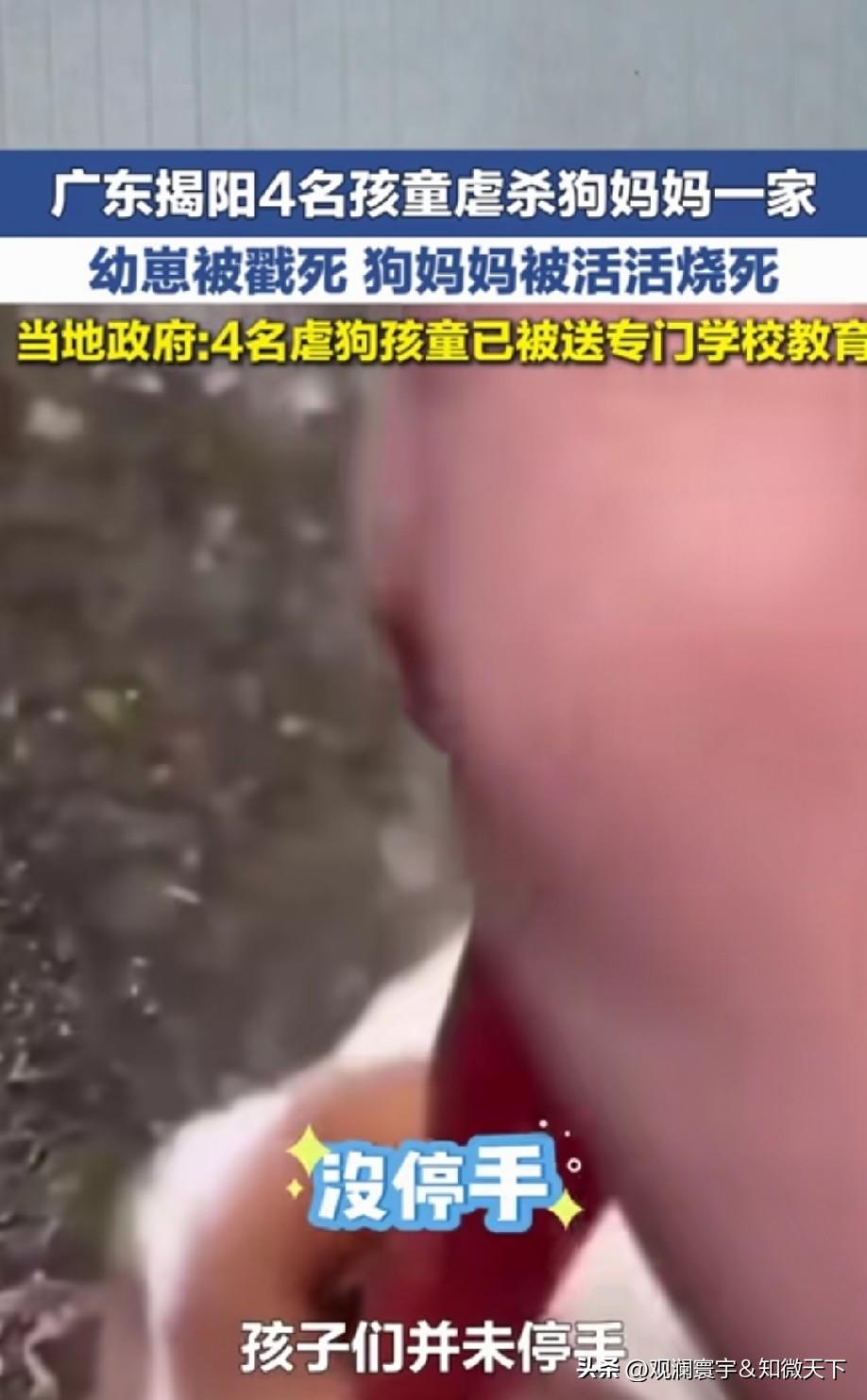 怎么会有手段这么凶狠的孩子们啊？ 父母是怎么教育的？这么残忍！